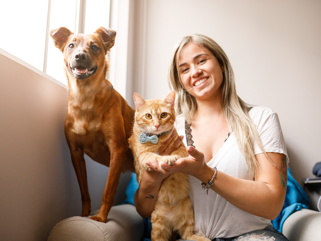 The Origins of Pet Grooming: From Ancient Times to Modern Day Care