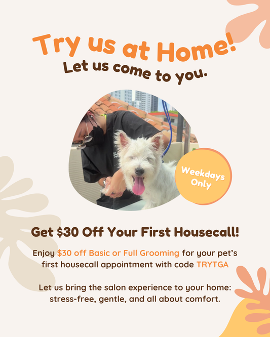 🐾 $30 Off Your First Housecall Grooming! ✨