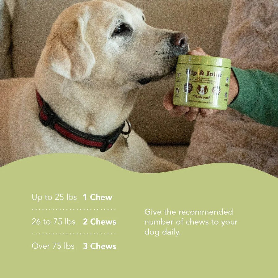 Natural Dog Company Hip & Joint Supplement