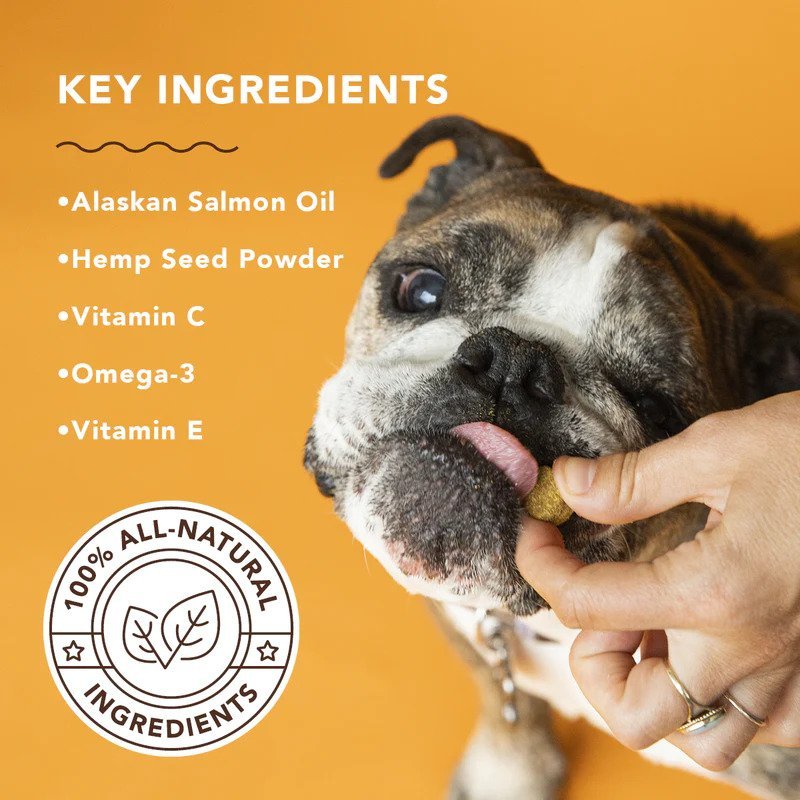 Natural Dog Company Skin & Coat Supplement