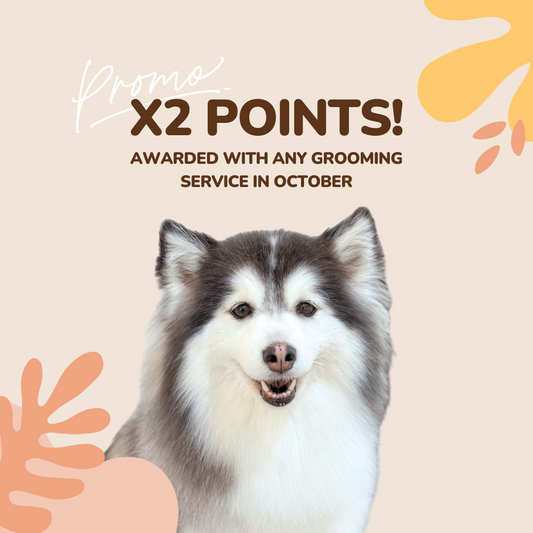 Get 2x points with any Grooming Service!