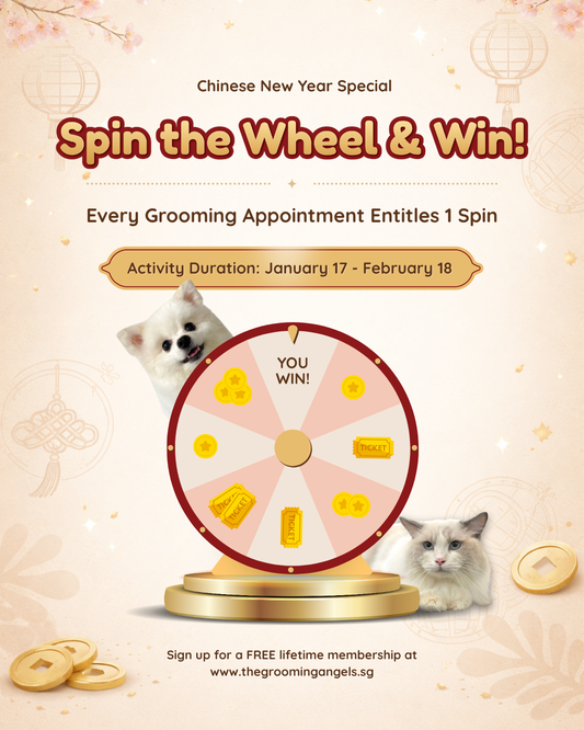 CNY Special: Spin the Wheel & Win! 🧧