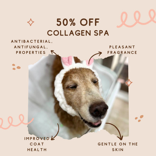 50% off Collagen Spa