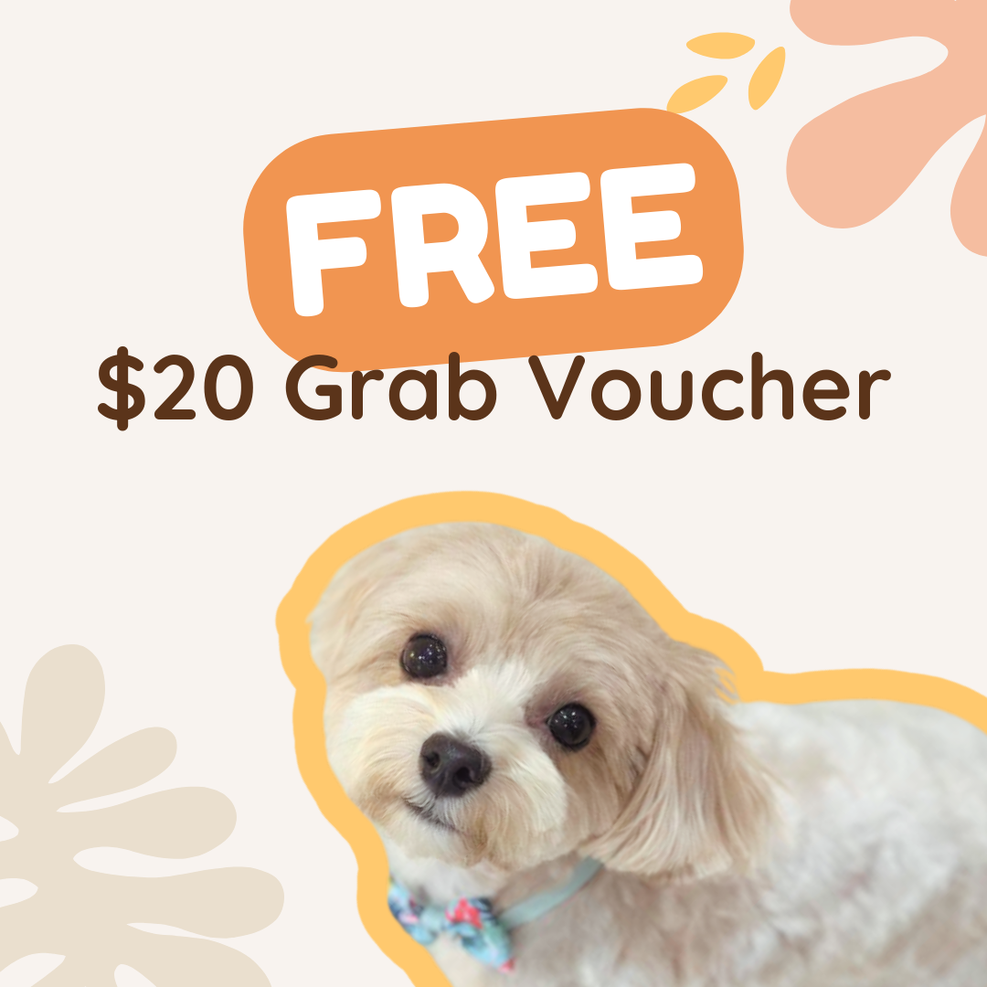 Free $20 Grab Voucher