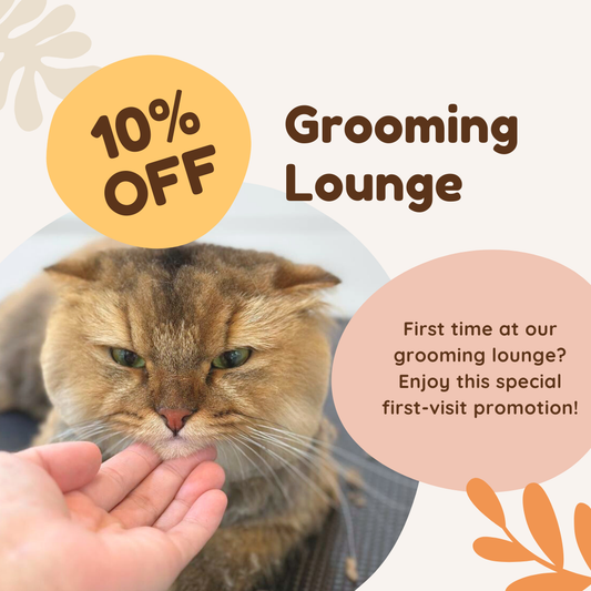 10% Off Salon Services