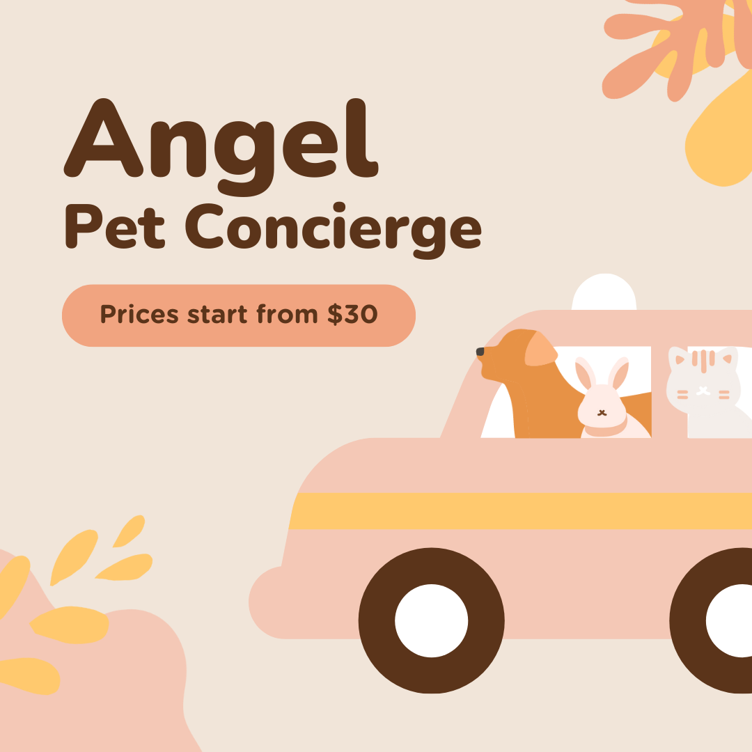 Angel Pet Concierge