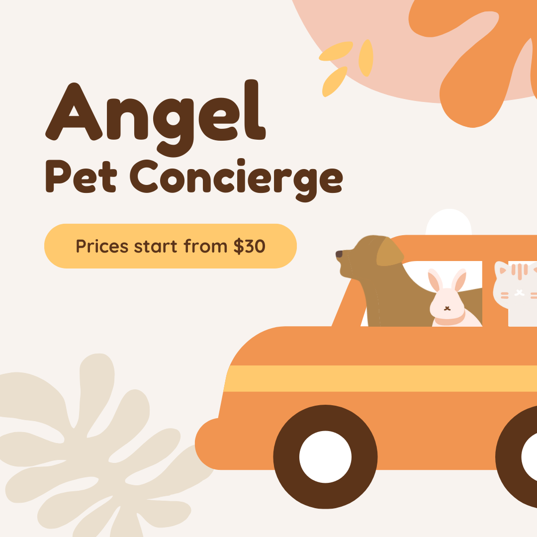 Angel Pet Concierge