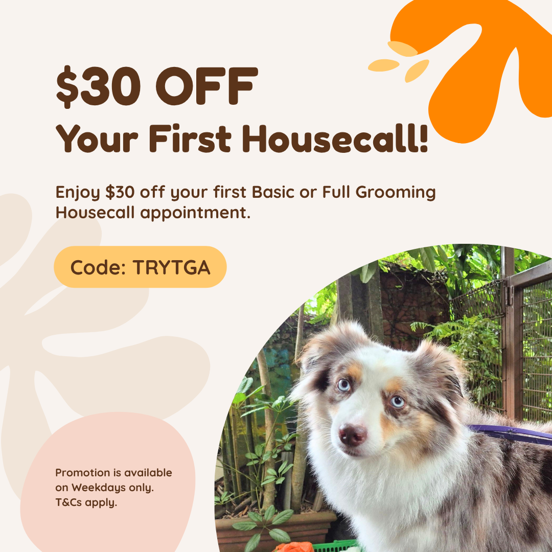 🐾 $30 Off Your First Housecall Grooming! ✨