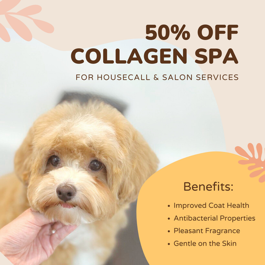 50% off Collagen Spa