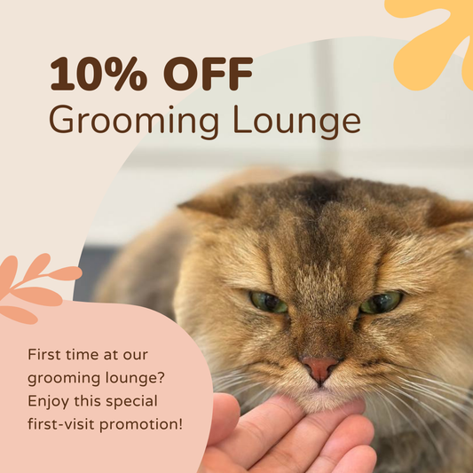 10% Off Salon Services