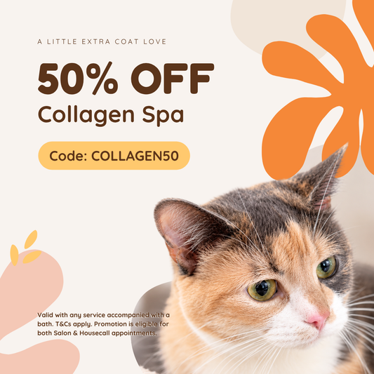 50% Off Collagen Spa! 💛