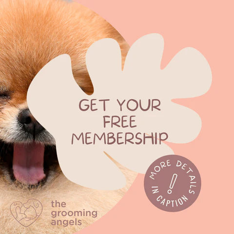 Get Your Free Membership