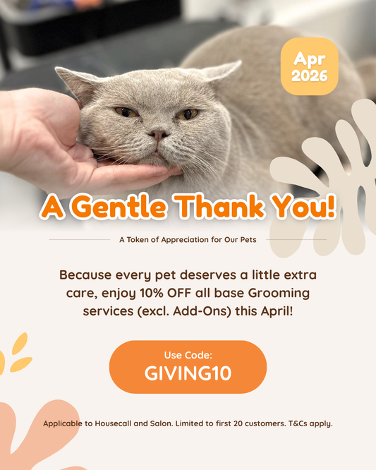 April 2026: A Gentle Thank You This National Pet Day 🐶🐱🐰🐹