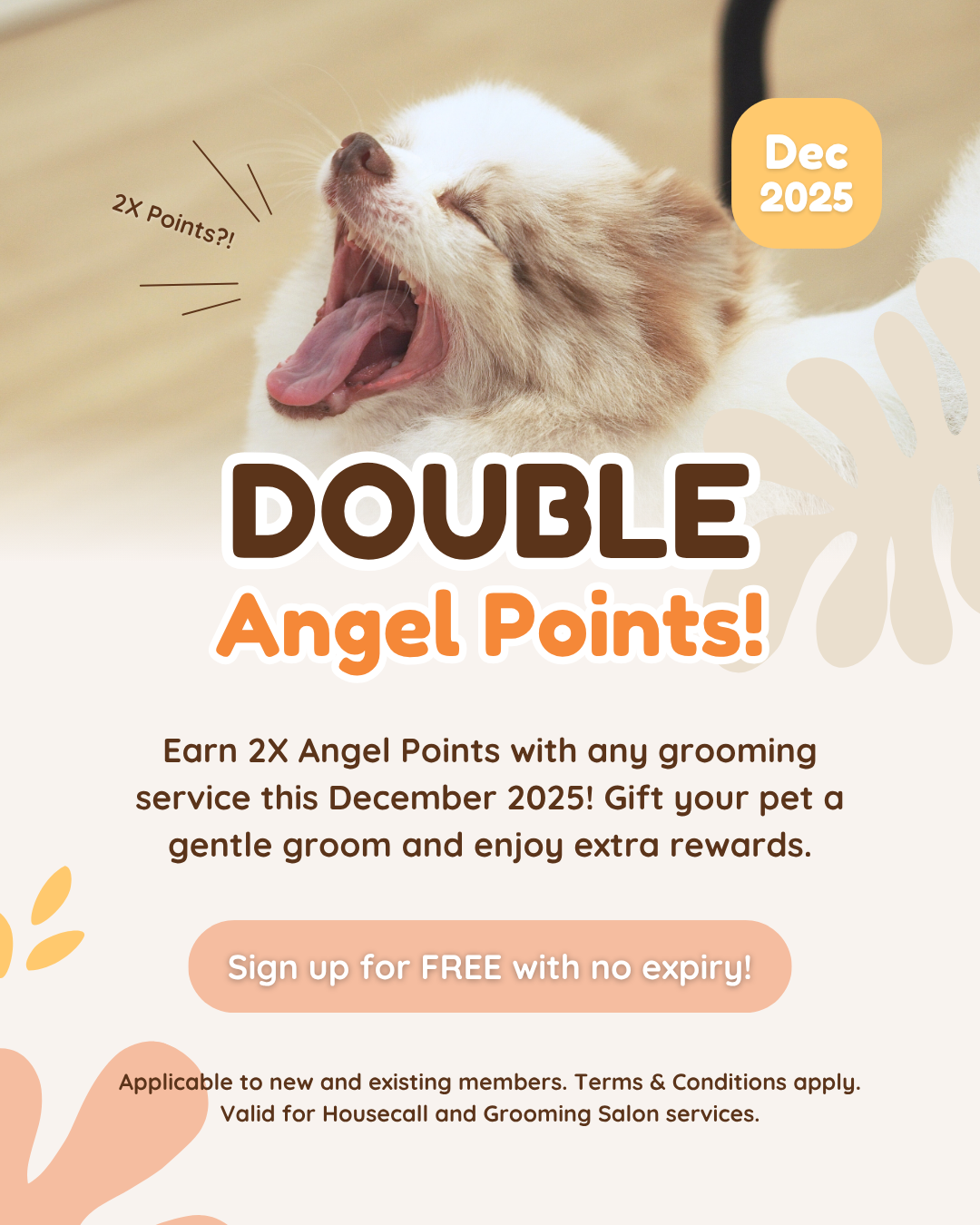 🐾 Dec 2025: 2x Membership Points!