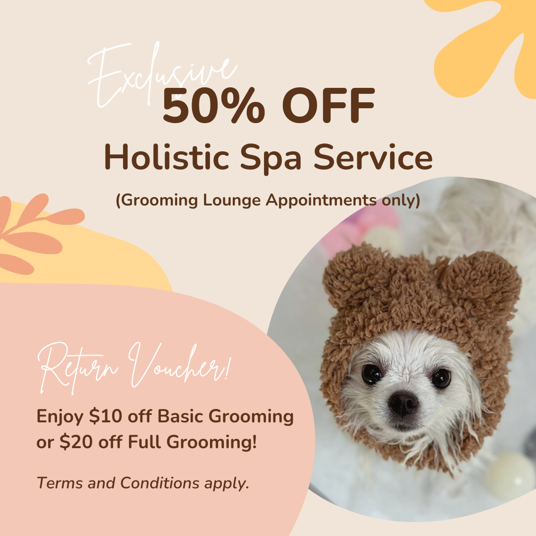 Enjoy 50% Off Holistic Spa Services + $10/$20 Off Basic or Full Grooming! ✨