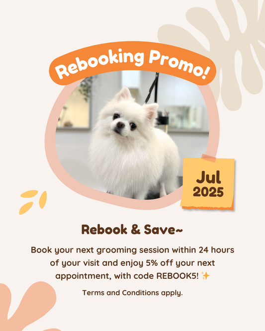 ✨ Rebooking Reward Promotion!