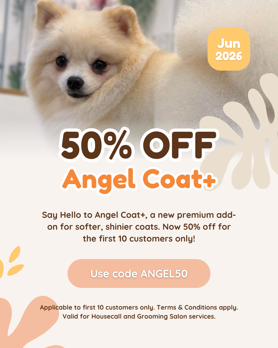 June 2026: 50% Off Angel Coat+! ✨