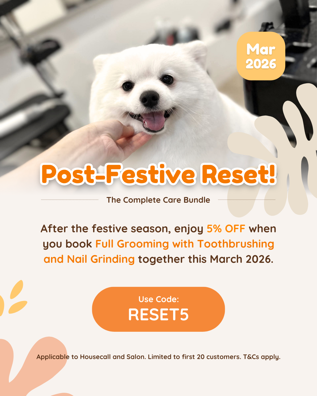 March 2026: Post-Festive Reset Special 🌿