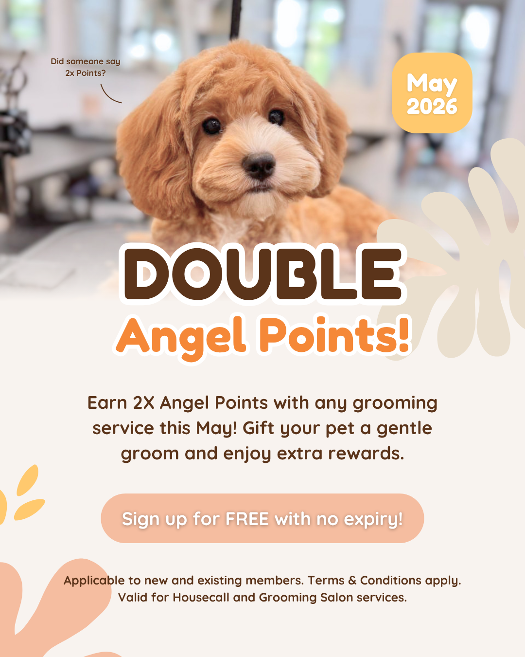 May 2026: Get Double the Rewards! 🫶