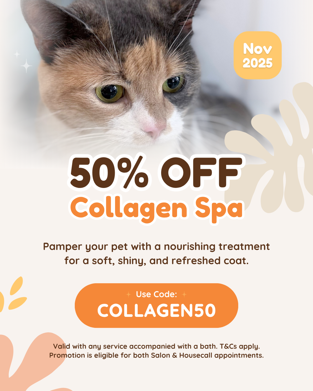 50% Off Collagen Spa This November! 💛