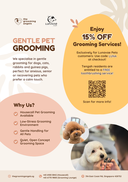✨ The Grooming Angels x Lunavae Pets ✨