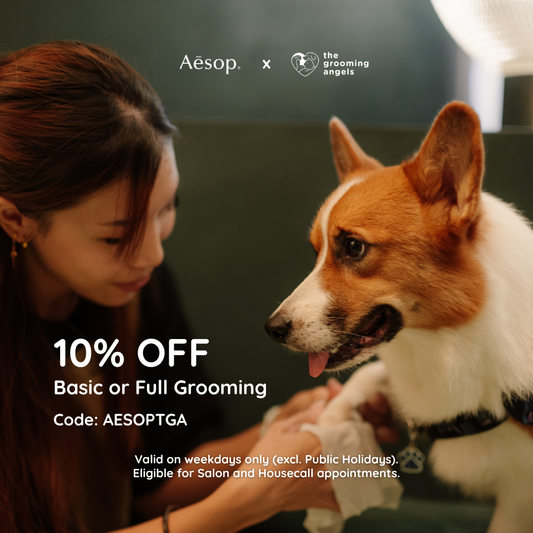 Aesop x The Grooming Angels