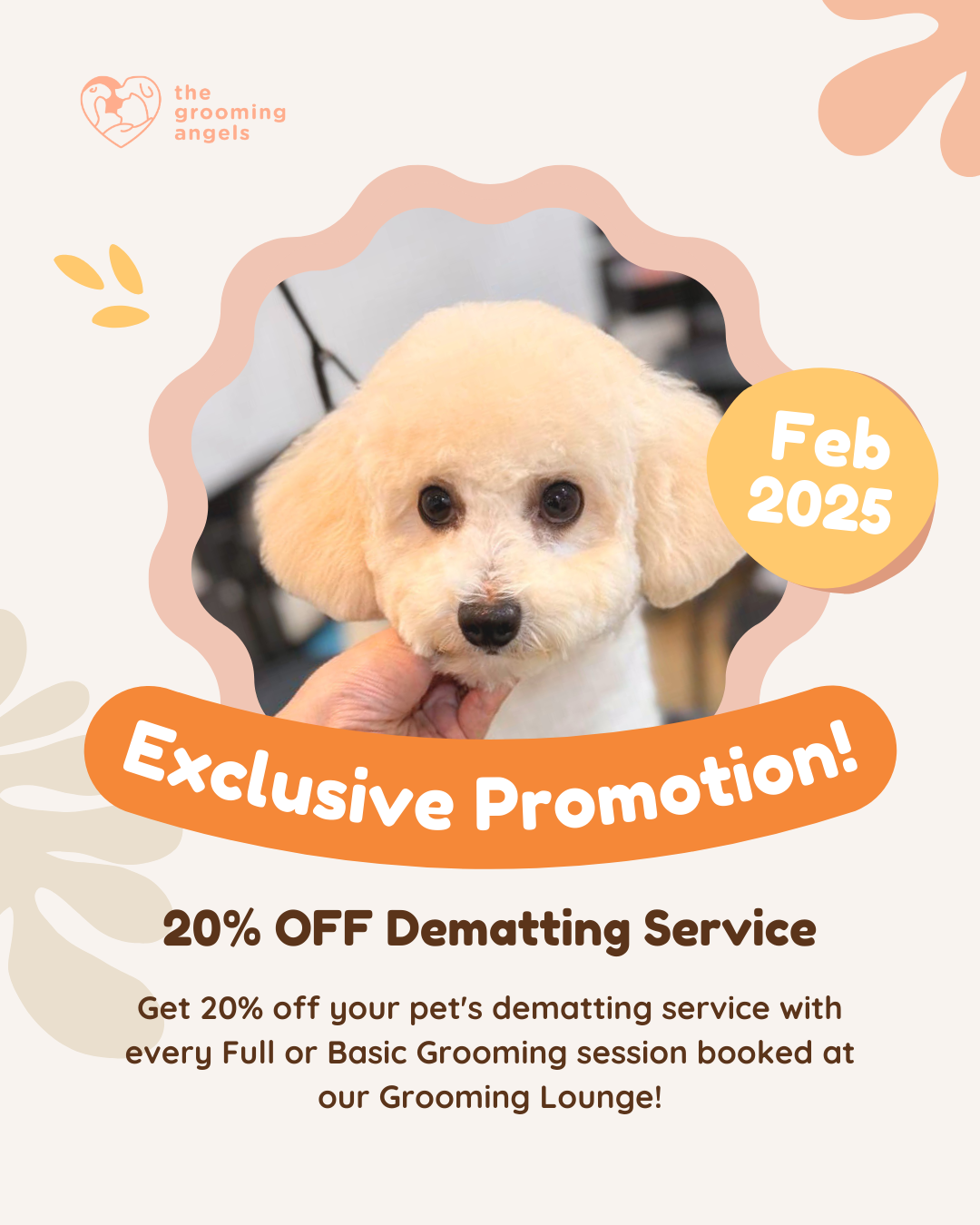 February 2025: 20% OFF Dematting Services! 🐾💇‍♀️