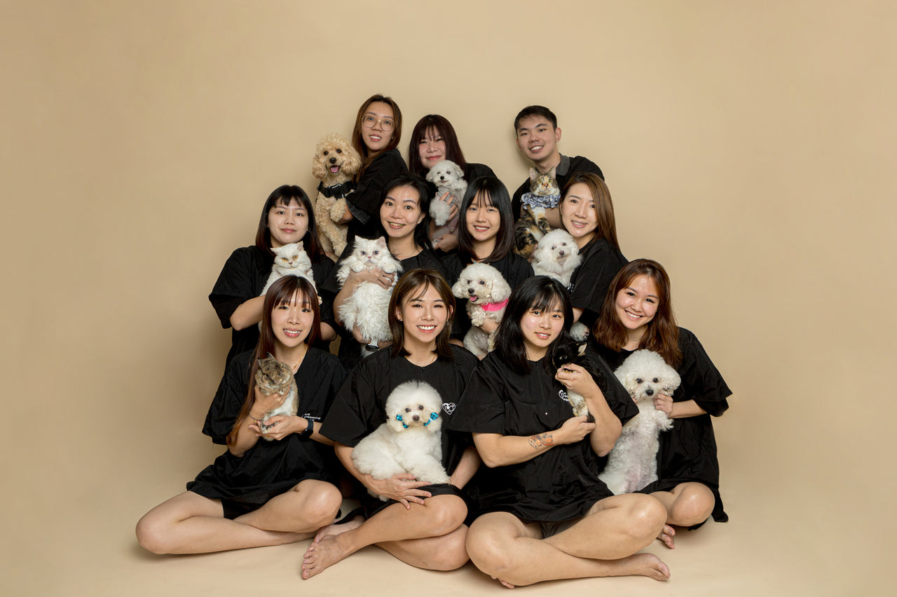 The Grooming Angels team with happy dogs and cats