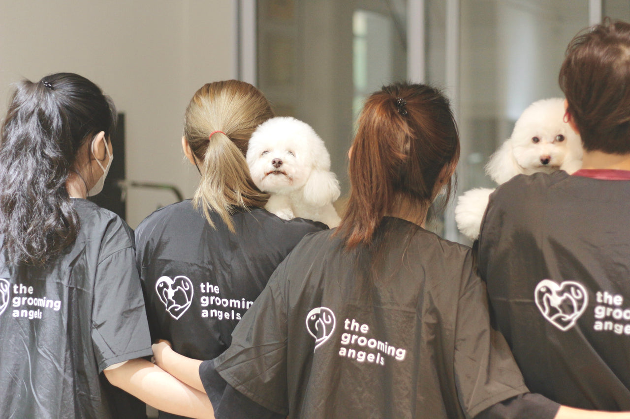 Grooming Angels team with fluffy dogs, branded uniforms