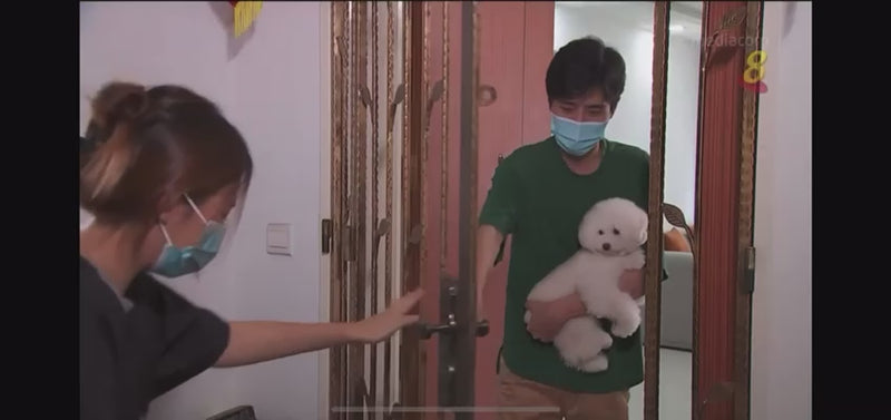 Housecall grooming — The Grooming Angels groomer arriving at home