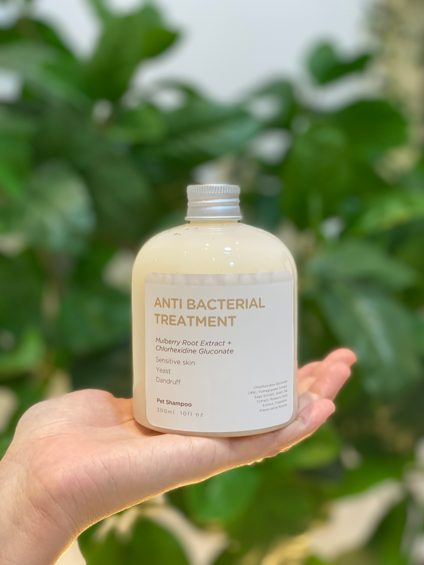 Anti-Bacterial Treatment